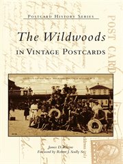 The wildwoods in vintage postcards  cover image cdn