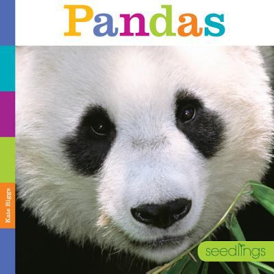 Pandas cover image