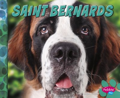 Saint Bernards  cover image cdn