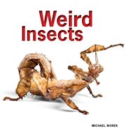 Weird insects cover image cdn