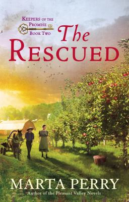 The rescued cover image