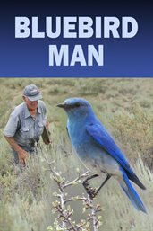 Bluebird man cover image cdn