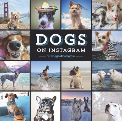 Dogs on Instagram cover image
