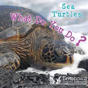 Sea Turtles, What Do You Do? cover image cdn