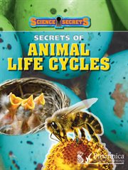 Secrets Of Animal Life Cycles cover image cdn