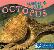 Octopus cover image cdn