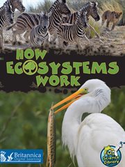 How ecosystems work cover image cdn