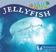 Jellyfish cover image cdn