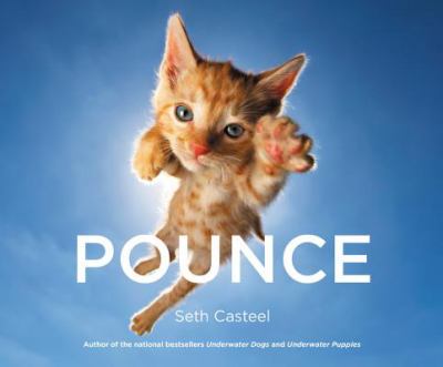 Pounce cover image