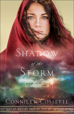 Shadow of the storm cover image