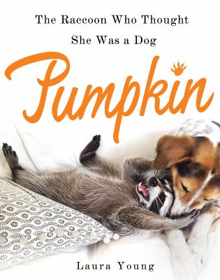 Pumpkin : the raccoon who thought she was a dog cover image