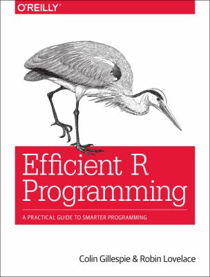 Efficient R programming : a practical guide to smarter programming cover image