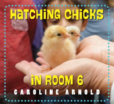Hatching chicks in room 6  cover image cdn