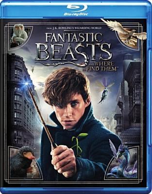 Fantastic beasts and where to find them [Blu-ray + DVD combo] cover image cdn
