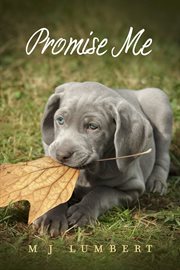 Promise me cover image cdn