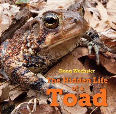 The hidden life of a toad  cover image cdn