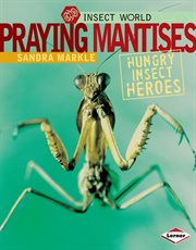 Praying mantises: hungry insect heroes cover image cdn