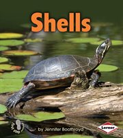 Shells cover image cdn