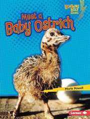 Meet a baby ostrich cover image cdn