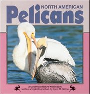 North American pelicans cover image cdn