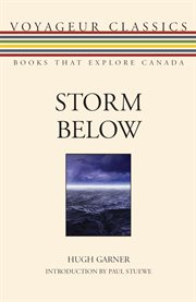 Storm below cover image cdn