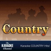 The karaoke channel - country hits of 1993, vol. 5 cover image cdn