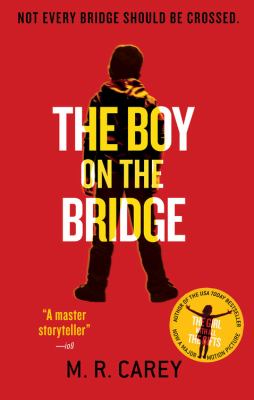 The boy on the bridge cover image