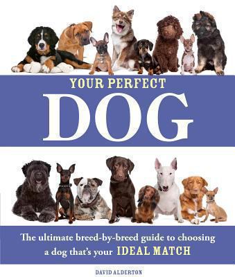 Your perfect dog cover image