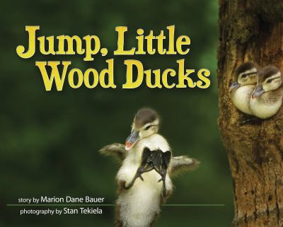 Jump, little wood ducks cover image