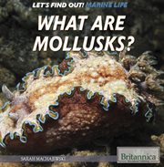 What are mollusks? cover image cdn