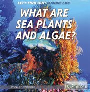 What are sea plants and algae? cover image cdn