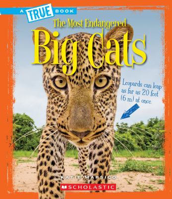 Big cats cover image