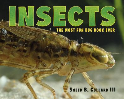 Insects : the most fun bug book ever cover image
