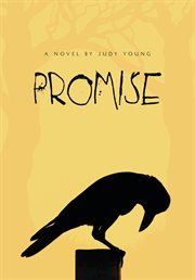 Promise cover image cdn