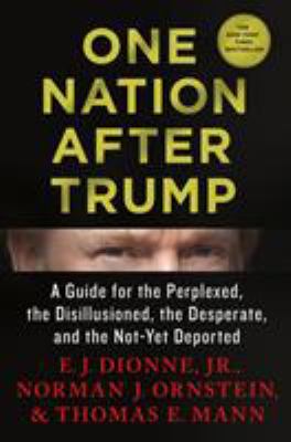 One nation after Trump : a guide for the perplexed, the disillusioned, the desperate, and the not-yet deported cover image