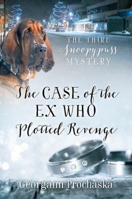 The case of the ex who plotted revenge cover image