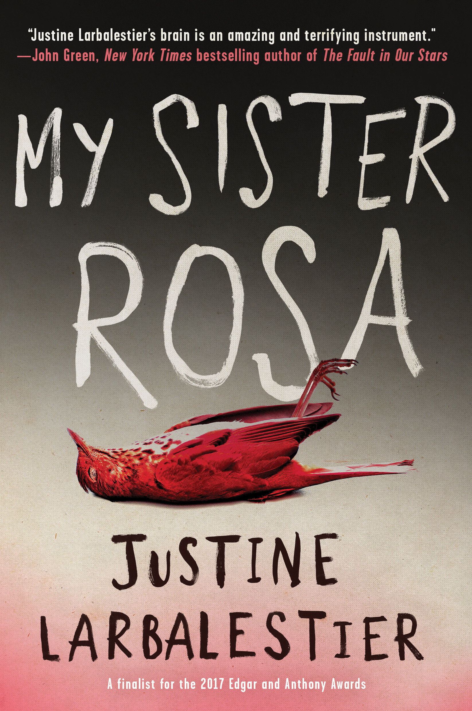 My sister Rosa cover image cdn