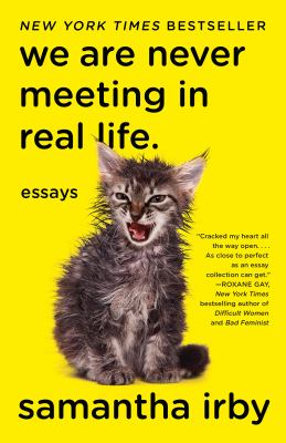 We are never meeting in real life : essays cover image