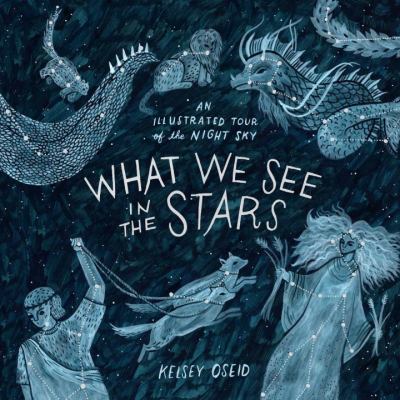 What we see in the stars : an illustrated tour of the night sky cover image