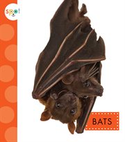 Bats cover image cdn