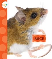 Mice cover image cdn