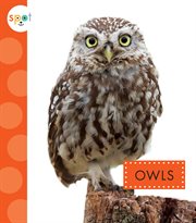 Owls cover image cdn