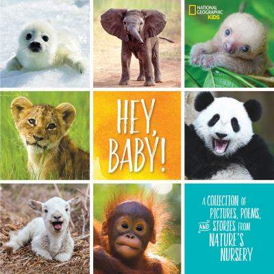 Hey, baby! : a collection of pictures, poems, and stories from nature's nursery cover image