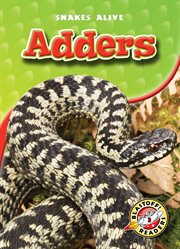 Adders cover image cdn