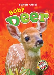 Baby deer cover image cdn