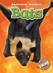 Bats cover image cdn