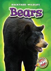 Bears cover image cdn