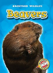 Beavers cover image cdn