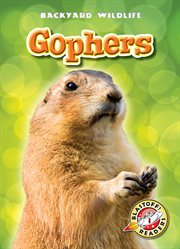 Gophers cover image cdn