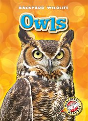Owls cover image cdn